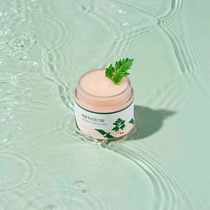 Round Lab Mugwort Calming Cream Лёгкий успокаивающий крем с полынью 80 мл