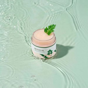 ROUND LAB Лёгкий успокаивающий крем с полынью MUGWORT CALMING CREAM  80 мл