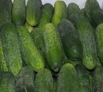 Огурец &quot;Мареса&quot; F1 (крупнобугорчатый, суперранний, 35 дней, 9-10см),10шт
