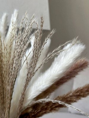 Для дома Сухоцветы для декора