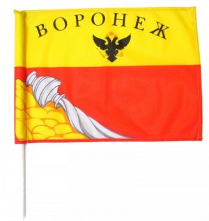 Флаг Воронеж 37х54 см
