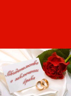 Обложка для Свидетельства о заключении брака Алая роза
