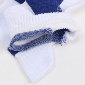 Носки мужские спортивные, цвет белый/синий