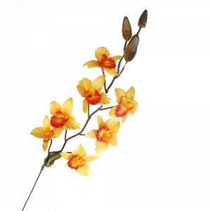 Орхидея катлея 65 см