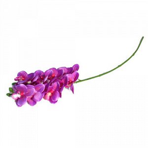 Ветка орхидеи 63 см