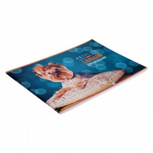 Альбом для рисования А4, 40 листов, на скрепке, "Любимые питомцы", обложка мелованный картон, блок 100 г/м?, МИКС