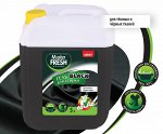 Master FRESH гель для стирки BLACK канистра HDPE с ручкой 5л