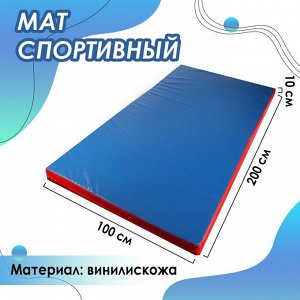 Мат, 200х100х10 см, цвет синий/красный