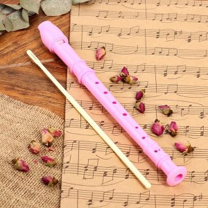 Блокфлейта Music Life, розовая, немецкая система, сопрано, 30 см