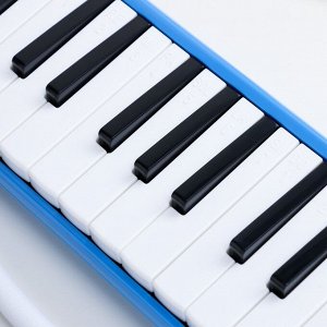 Музыкальный инструмент Мелодика Music Life, синяя, 32 клавиши, чехол