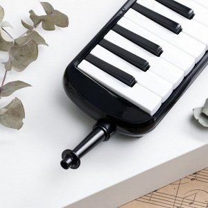 Музыкальный инструмент Мелодика Music Life, черная, 32 клавишы, чехол