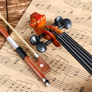 Скрипка Music Life 1/2,  в комплекте футляр и смычок
