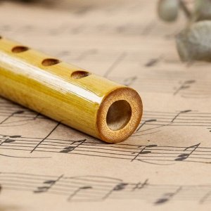 Флейта Music Life, 24 см, 6 отверстий, тональность C