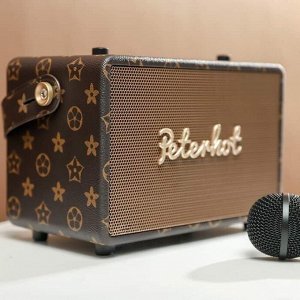Портативная караоке система Bluetooth Peterhot Karaoke Speaker + беспроводной микрофон