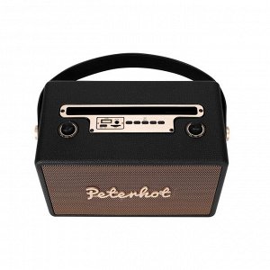 Портативная караоке система Bluetooth Peterhot Karaoke Speaker + беспроводной микрофон