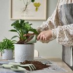 IKEA➲ Инвентарь и уход для домашних растений