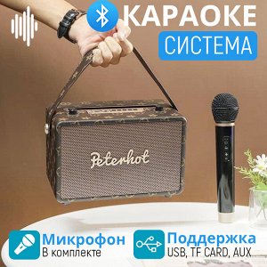 Портативная караоке система Bluetooth Peterhot Karaoke Speaker + беспроводной микрофон