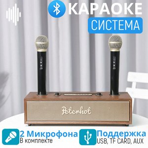 Портативная караоке система Bluetooth Peterhot Karaoke Speaker + 2 беспроводных микрофона