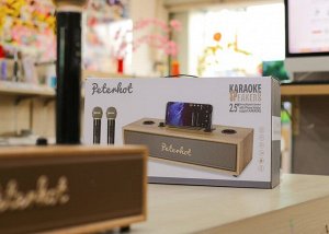 Портативная караоке система Bluetooth Peterhot Karaoke Speaker + 2 беспроводных микрофона