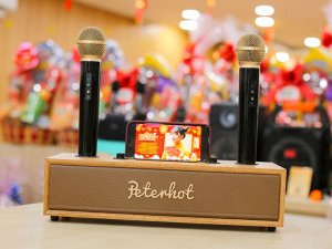 Портативная караоке система Bluetooth Peterhot Karaoke Speaker + 2 беспроводных микрофона