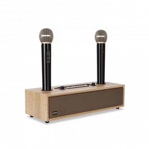Портативная караоке система Bluetooth Peterhot Karaoke Speaker + 2 беспроводных микрофона
