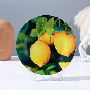 Тарелка декоративная «Лимон на ветке», настенная, D = 17,5 см