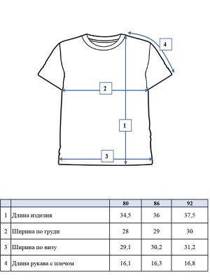 Комплект детский трикотажный для мальчиков: фуфайка (футболка), шорты