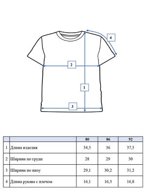 Фуфайка детская трикотажная для мальчиков (футболка)