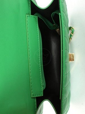 Сумка женская искусственная кожа Ch&K-1088,  1отд,  плечевой ремень,  зеленый 255062