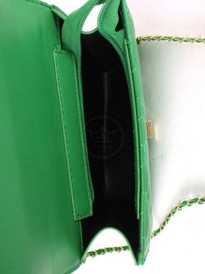 Сумка женская искусственная кожа Ch&K-1089,  1отд,  плечевой ремень,  зеленый 255058