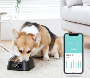 Миска для кошек и собак с весами и синхронизацией по Bluetooth