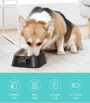 Миска для кошек и собак с весами и синхронизацией по Bluetooth