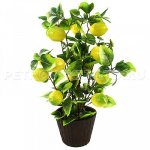 - 62434 - Декоративное дерево "Лимон" h46см в горшке д14см h10,7см (Китай). 