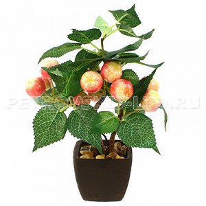 0599-9 66670 - Декоративное дерево "Райское яблочко" h26см в горшке 7,5х7,5см h6,5см (Китай). 