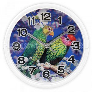 Часы настенные "Попугаи 3D" д20см, мягкий ход, пластм., белы