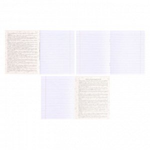 Тетрадь предметная "Мрамор темный" 48 листов в линию Литература, со справочным материалом, обложка мелованный картон, покрытие софт-тач с тиснением золотой фольгой, блок офсет