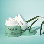 Moloko botanic на основе растительного молока ценных видов