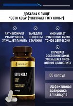 &quot;GOTU KOLA&quot; (&quot;ЭКСТРАКТ ГОТУ КОЛЫ&quot;)  60 капсул TM AWOCHACTIVE