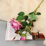 Цветы искусственные &quot;Роза душистая&quot; 9х50 см, бело-сиреневый микс