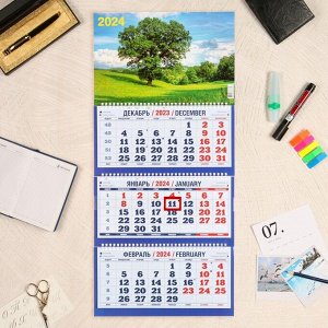 Календарь квартальный, трио "Природа - 5" 2024 год, 31х69см