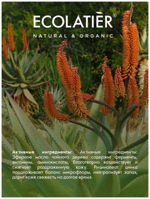 Дезодорант Ecolatier Green Легкость & Свежесть Серия Organic Aloe Vera, 40 мл EXPS