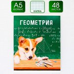 Предметная тетрадь, 48 листов, « МИЛЫЕ ПИТОМЦЫ», со справочными материалами «Геометрия», обложка мелованный картон 230 гр., внутренний блок в клетку 80 гр., белизна 96%,блок №1.
