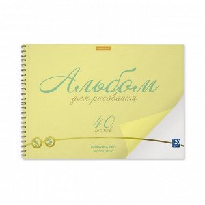 Альбом для рисования А4, 40л на спирали ErichKrause Neon, с пластиковой обложкой,жёлтый