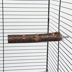 Одинарная древесная жердочка для птиц "Сила природы" с лакомством длина 17 см, диаметр 1,8-2