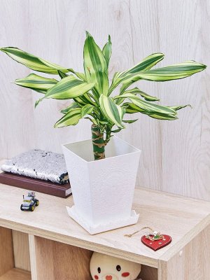 Кашпо 1,9л Д13,3*13,3*17,6см с поддоном [MIRECOURT] МОЛОЧНЫЙ