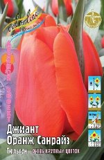 Тюльпан Джиант Оранж Санрайз