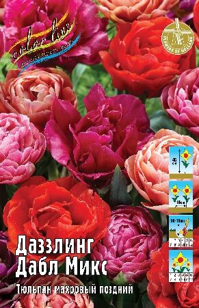 Королайн! Предзаказ Осень