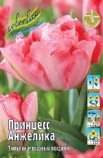 Тюльпан Принцесс Анжелика