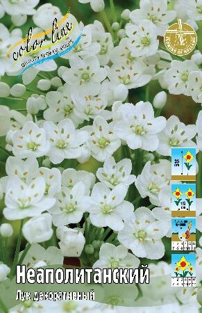 ЛУК ДЕКОР. НЕАПОЛИТАНСКИЙ