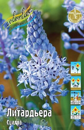 Сцилла Литардьера 6/+ 10шт (Колорлайн)